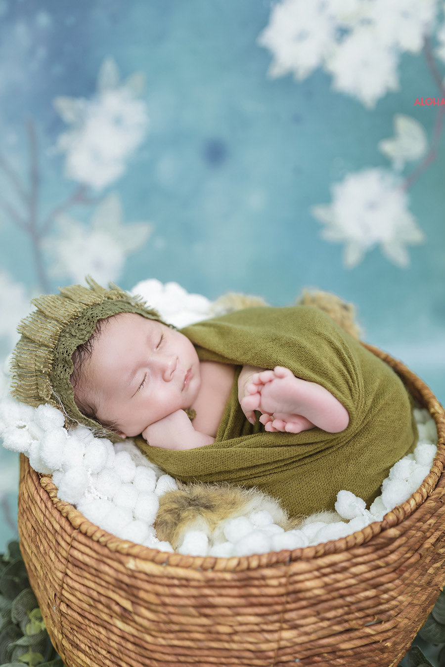 album ảnh newborn 34